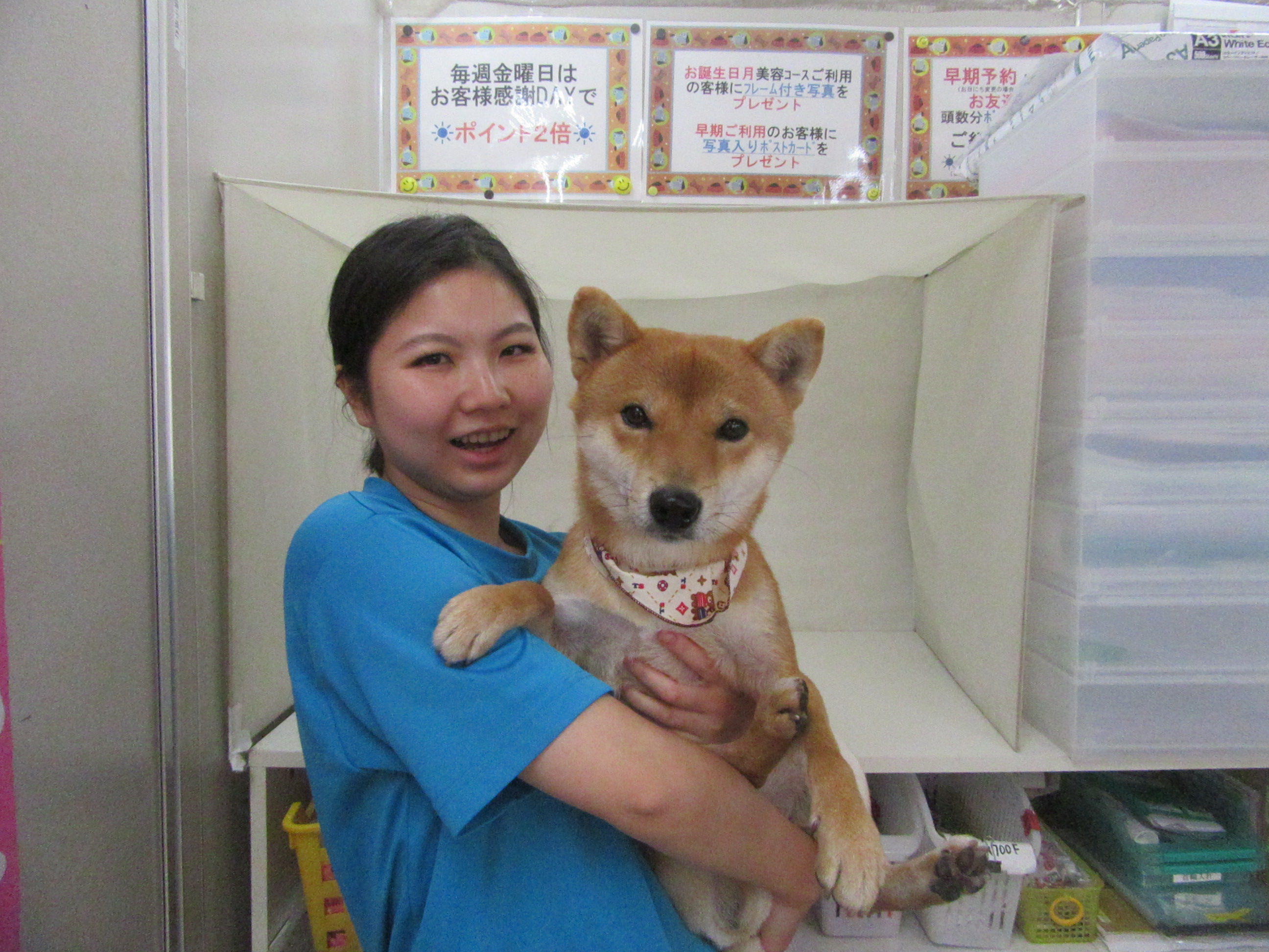 2016-12-06-12-13-34-2